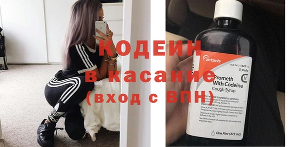 прущий лед Богданович