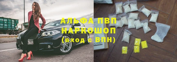 прущий лед Богданович