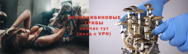 ешки Нефтекумск