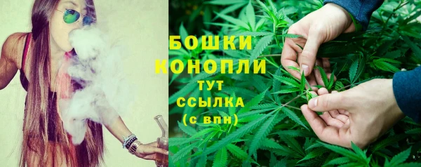 прущая мука Богородицк