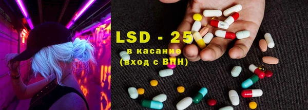 прущий лед Богданович