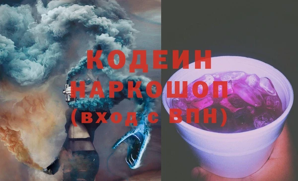 прущий лед Богданович