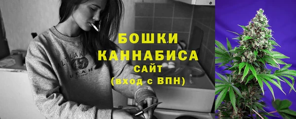 бутират Белокуриха