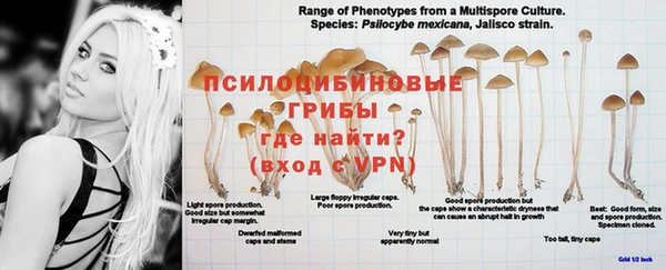 прущая мука Богородицк