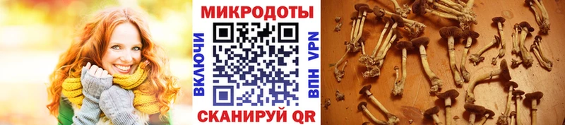 mega как зайти  Бикин  Галлюциногенные грибы мухоморы 